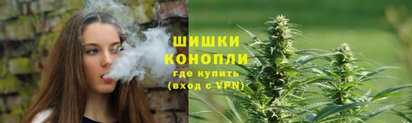 индика Кинешма