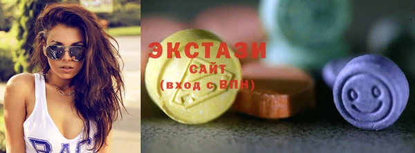 индика Кинешма