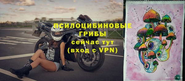 прущие крисы Болотное