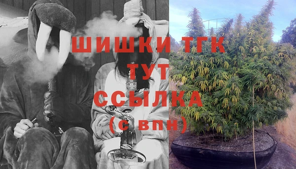 спиды Инта