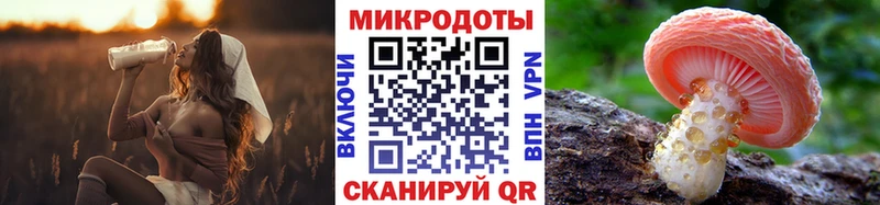 продажа наркотиков  Кировград  Галлюциногенные грибы MAGIC MUSHROOMS 