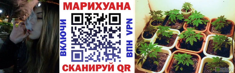 Канабис индика  цены   Кировград 